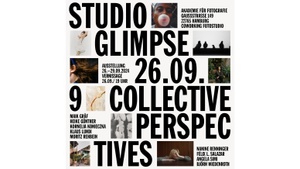 STUDIO GLIMPSE – 9 COLLECTIVE PERSPECTIVES