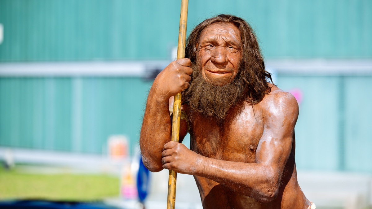 Neanderthal Museum