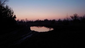 Was tut sich am Abend in der Heide?  - Dämmerungs-Exkursion ins Naturschutzgebiet