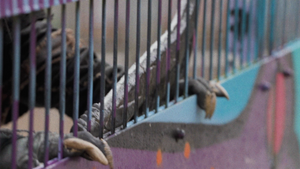 Raum für Alle? Gesprächsrunde zu Stadtraum, Gestaltung und Zusammenleben