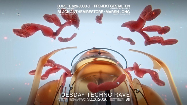 ✦encore.une.fois✦ / TUESDAY TECHNO RAVE