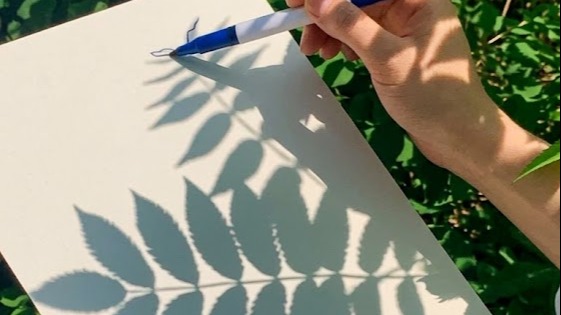 Inspired by nature: Shadow Flower Paint & Nature Writing mit Picknick im englischen Garten
