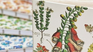 Kreatives Ferienprogramm: Mein Ferientagbuch