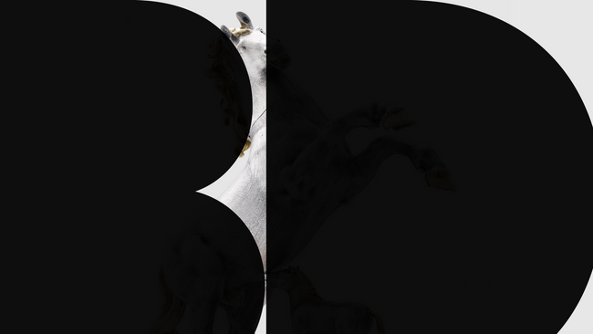 “Blind Date mit Stuttgart” - Öffentliche Führungen