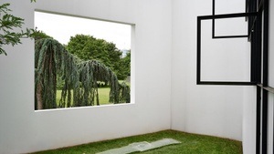 Kunst mit Hund I zu Fuß