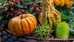 Herbstmarkt
