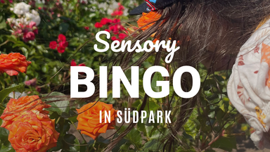 Sensory Bingo: Walk and Explore