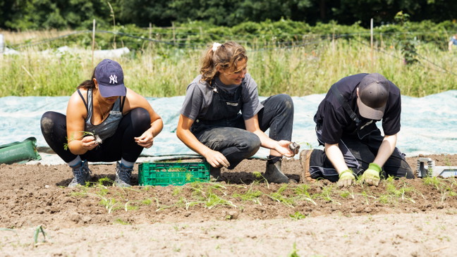 Farmer For A Day