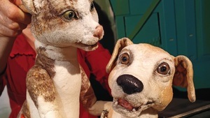 Mau & Wiau | Theater con Cuore