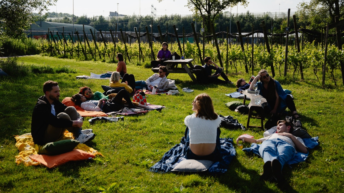 📚🎶 1-Hour Reading Rave | with Live Music | Volkspark am Weinberg