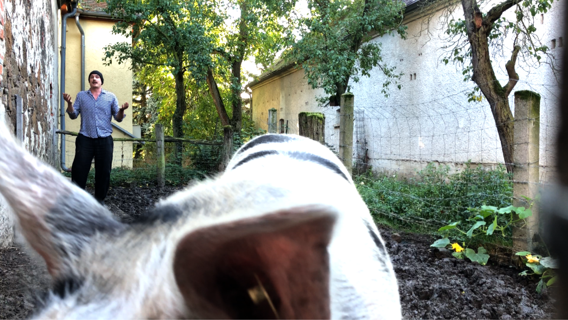 ERÖFFNUNG: Mailand / Innenhof. re:miserere