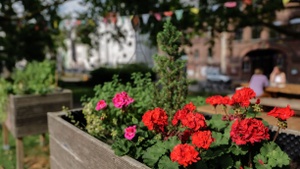 Gartensaison Eröffnung & Kleidertausch