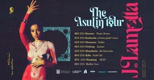 J.Lamotta live - The Asulin Tour
