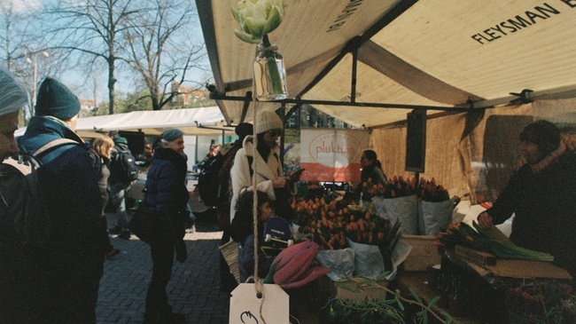 Wochenmarkt Lürrip