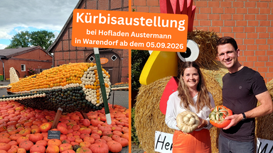 Kürbisausstellung bei Hofladen Austermann