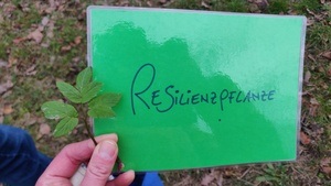 After Work Kräuterrunde