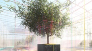 Anno Weihs | EDEN 2.0