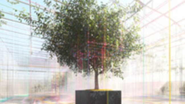 Anno Weihs | EDEN 2.0