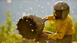 Медена земја // Honeyland // Land des Honigs