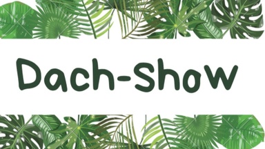 Dach_Show-Poetry Slam, Musik, Kunst, Performance&Handmademance,