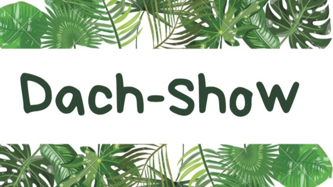 Dach_Show-Poetry Slam, Musik, Kunst, Performance&Handmademance,