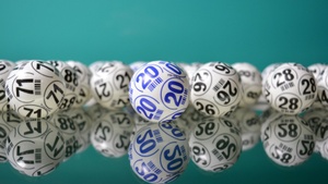 Bingo für Alle