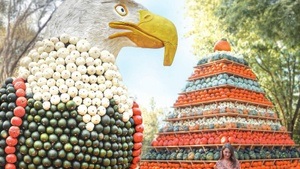 Erlebe den Herbst zum Abheben – Kürbishausen 2025 wird zum Kürbis-Himmel!