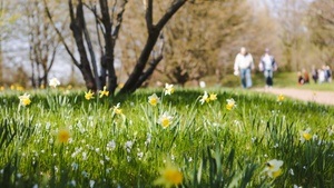 Ab ins B! Führung durch den Britzer Garten