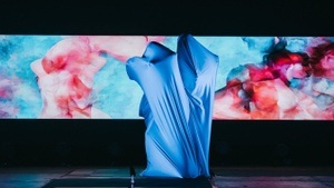 The Unknown Flesh