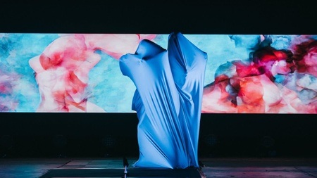 The Unknown Flesh