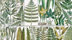 Plein Air - Freilichtmalerei im Botanischen Garten