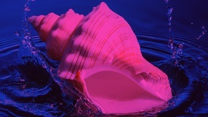 Freiburg.Phil Club: Colour of Spring