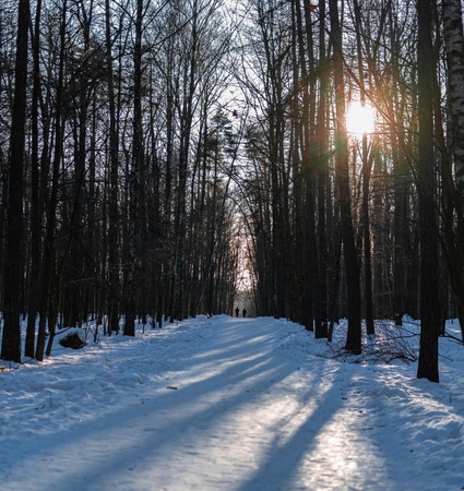 What's happening in January? Events in Hanover