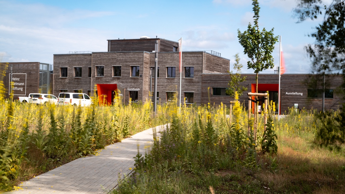 Finissage: Wo der Wiedehopf huupt - Von kahlen Flächen zu buntem Leben