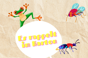Es rappelt im Karton (6+)