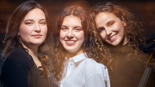 AYLA Trio der jnp - Kammermusik im Schloss Wolfshagen @ kultur.farm.festival