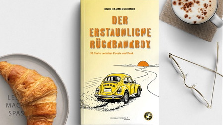 Knud Hammerschmidt liest aus "Der erstaunliche Rückbankboy"