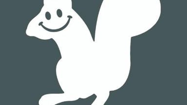 Go.Play - Gaamer