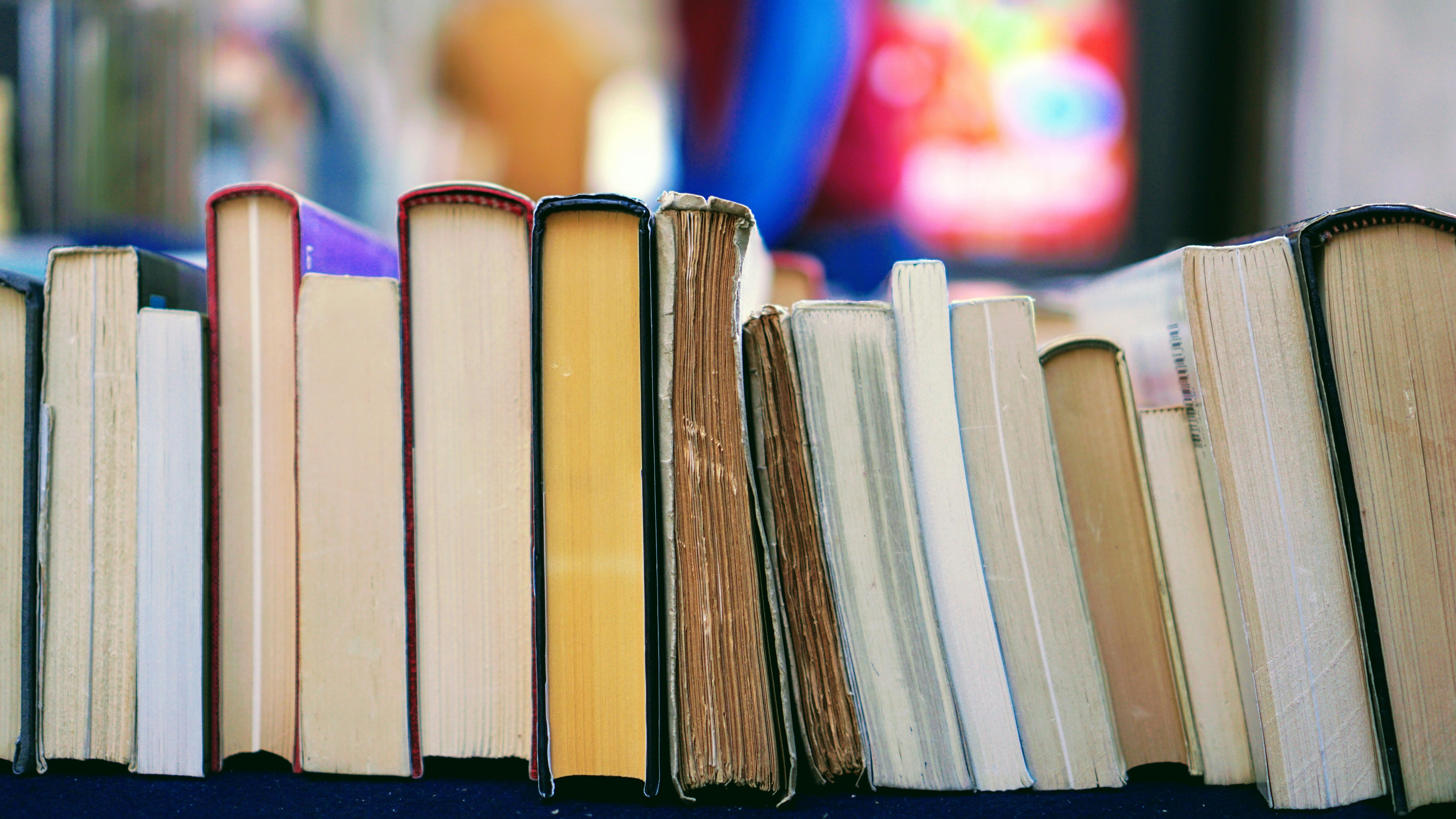 Politisch Lesen // Der ZweiEinsDrei Buchklub im HausDrei