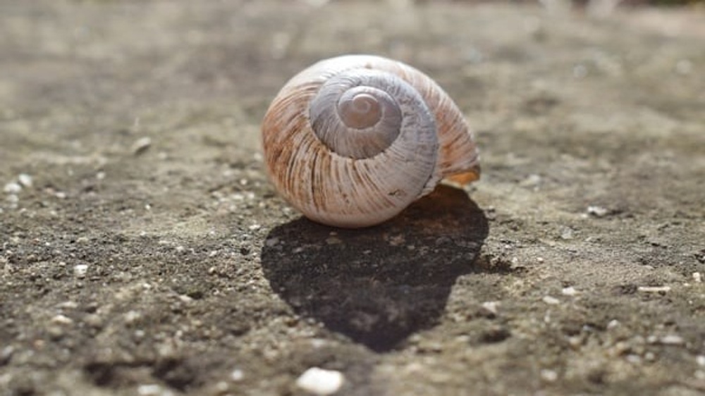 bigFM goes Schneckenhof