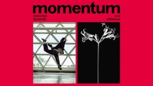 Momentum zwischen Dynamik und Stillstand