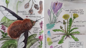 Nature-Journaling-Workshop