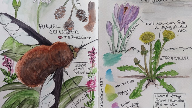 Nature-Journaling-Workshop