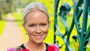 Cecelia Ahern: Ein Herz aus Papier und Sternen