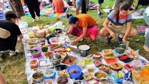 Veganes mitbring Picknick - Köln