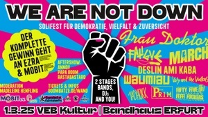 WE ARE NOT DOWN – Solifest für Demokratie, Vielfalt & Zuversicht | 1.3.25 VEB Kultur