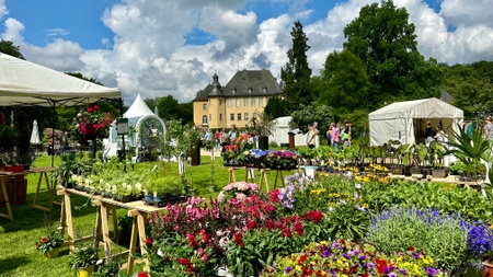 Gartenlust in Schloss Dyck