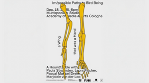 Im/possible Paths to Bird Being
