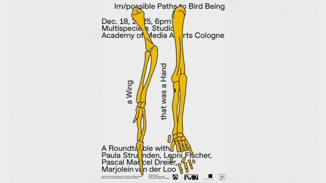 Im/possible Paths to Bird Being