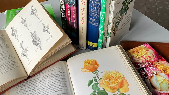 NEU Schnuppern in der Rosen-Bibliothek